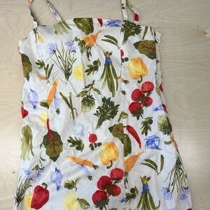 Abercrombie and Fitch Spring/Summer Floral and Vegetable Print Dress